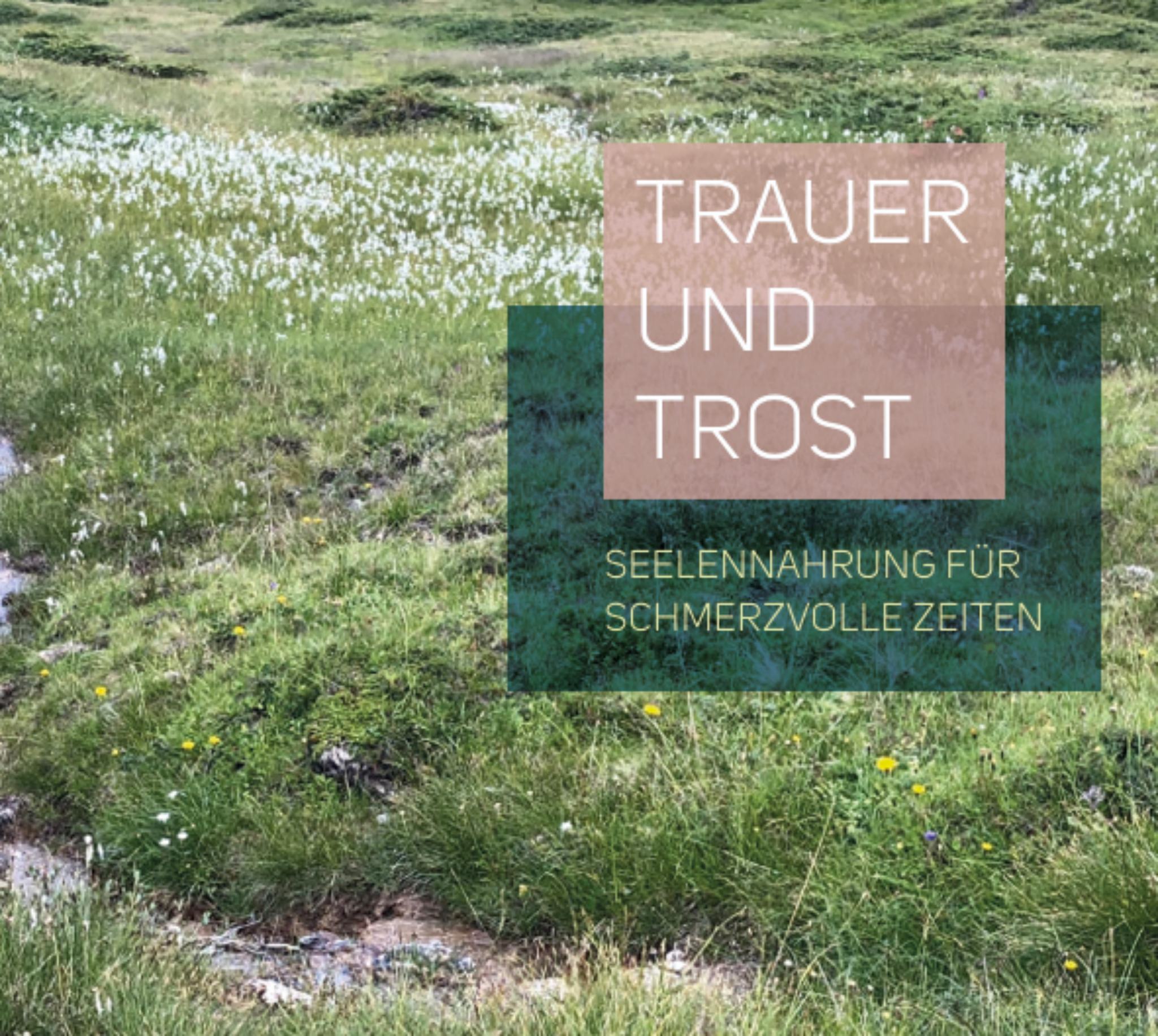 Trauer Trost Brienz