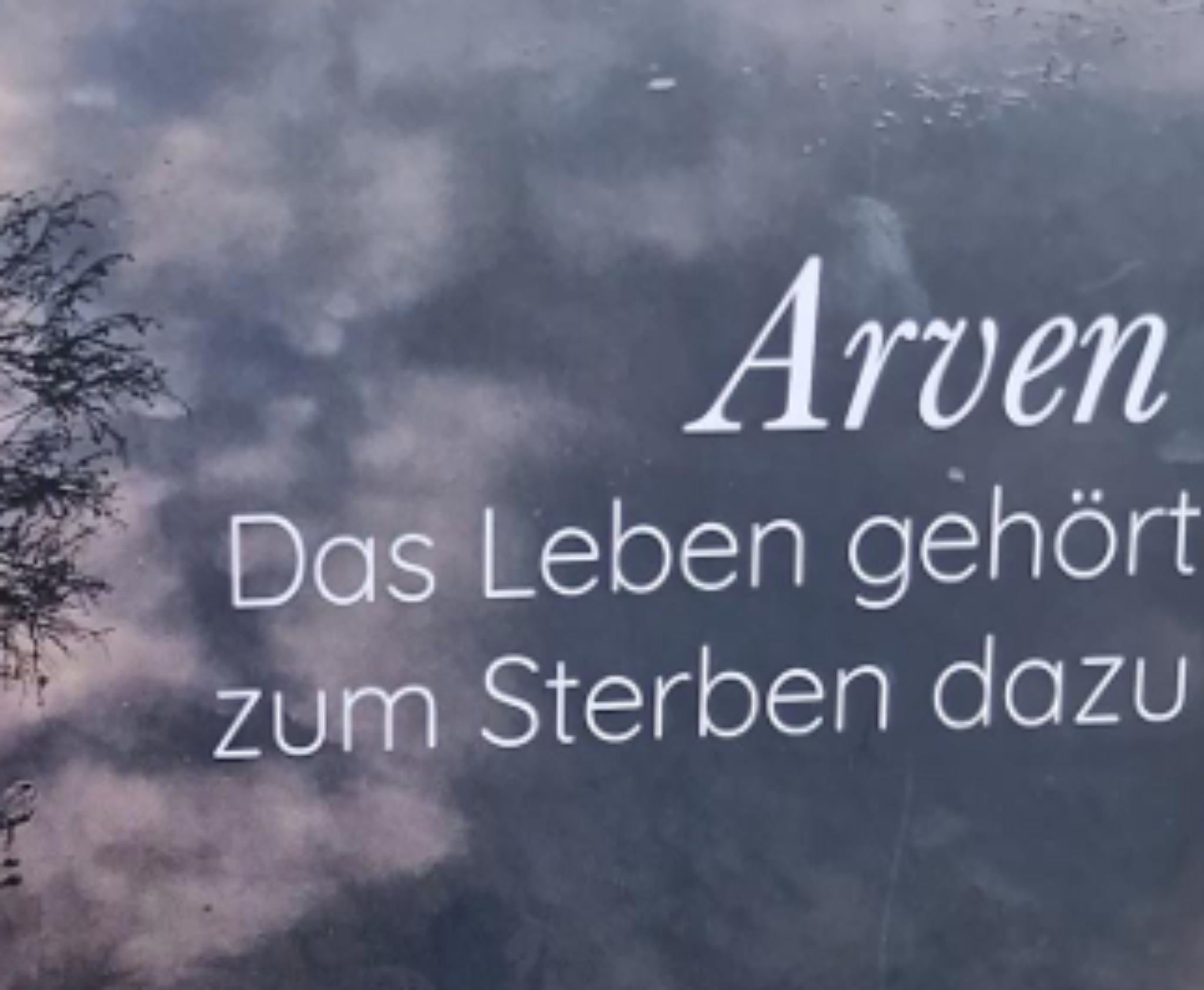 Arve 2png
